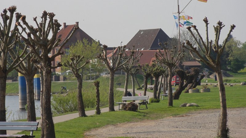 Brevet Fruehjahrsbegegnung 1036